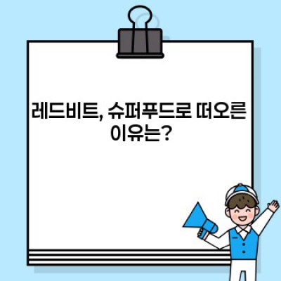 레드비트즙 효능 총정리: 혈압, 혈액순환, 운동능력 향상까지!
