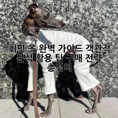 휘핏 옷 완벽 가이드: 객관적 분석, 활용 팁, 구매 전략 총정리