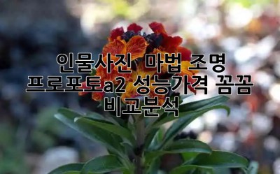 인물사진 ✨ 마법 조명, 프로포토a2!📸 성능/가격 꼼꼼 비교분석