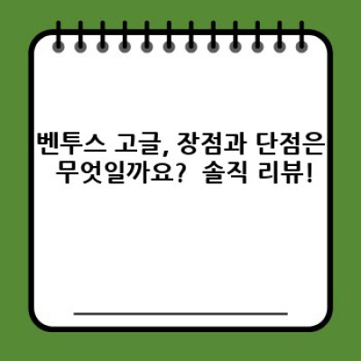 벤투스 고글 완벽 가이드: 궁금증 해소부터 최신 정보까지!  눈 건강과 스타일, 모두 잡아보세요!