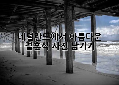 네덜란드에서 아름다운 결혼식 사진 남기기