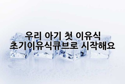 우리 아기 첫 이유식, 초기이유식큐브로 시작해요!