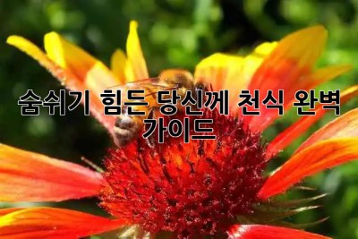 숨쉬기 힘든 당신께, 천식 완벽 가이드 🌬️
