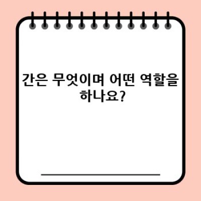 간 건강 완벽 가이드: 건강한 간을 위한 모든 것