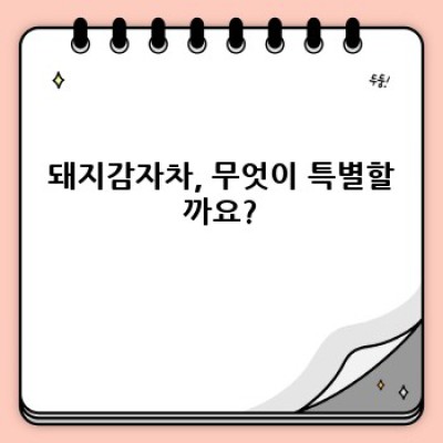 돼지감자차 효능: 혈당 관리부터 다이어트까지, 궁금증 완벽 해결!