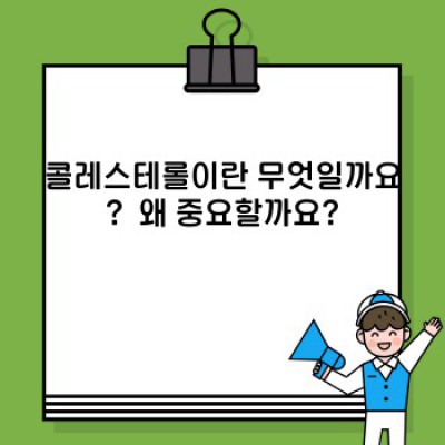 콜레스테롤 완벽 가이드: 건강하게 관리하는 방법