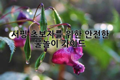 서핑 초보자를 위한 안전한 물놀이 가이드