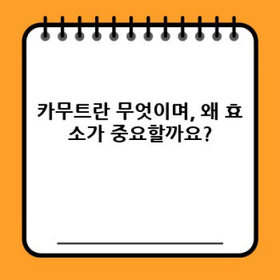 카무트 효소: 건강 효능과 부작용, 다른 곡물과의 비교 분석