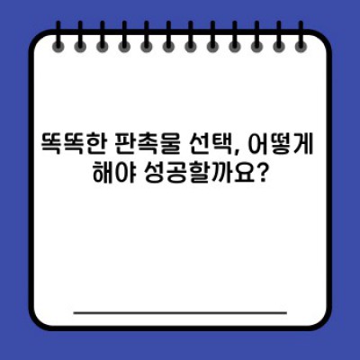 판촉물 성공사례: 똑똑한 판촉으로 매출 극대화 전략!  고객 마음 사로잡는 노하우 공개