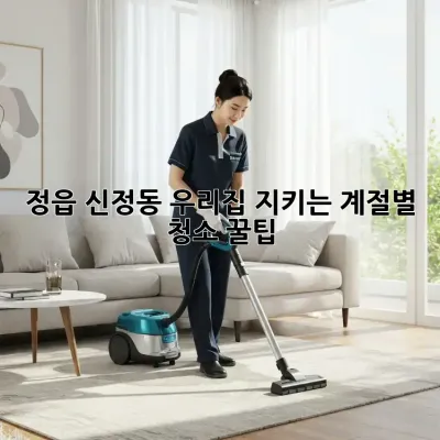 정읍 신정동 우리집 지키는 계절별 청소 꿀팁