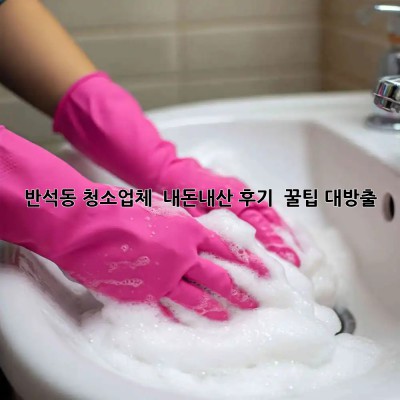 반석동 청소업체 ✨ 내돈내산 후기 & 꿀팁 대방출!