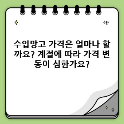 수입망고 요약정보 우선 확인: 맛있게 즐기고 안전하게 먹는 완벽 가이드