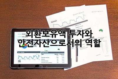 외환보유액: 투자와 안전자산으로서의 역할