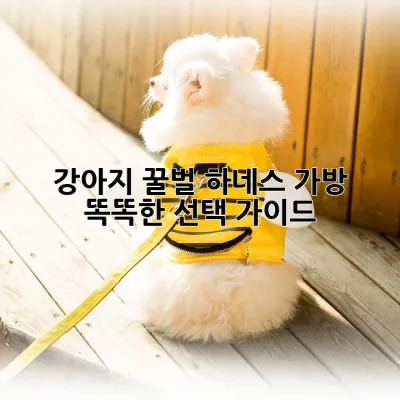 강아지 꿀벌 하네스 가방: 똑똑한 선택 가이드 🐝