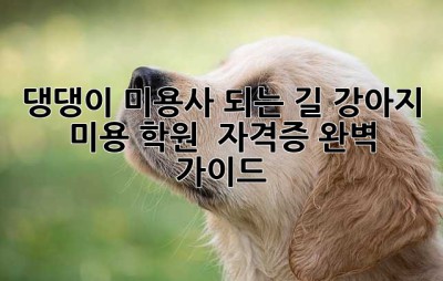 댕댕이 미용사 되는 길: 강아지 미용 학원 & 자격증 완벽 가이드