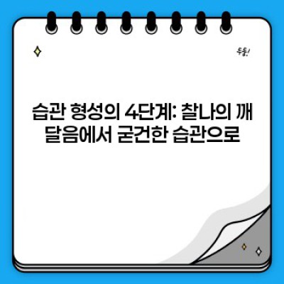 습관 형성 단계: 빠른 성공 전략과 흔한 실수 피하기