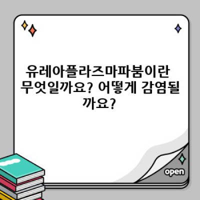 유레아플라즈마파붐: 궁금증 해소와 정확한 정보 안내