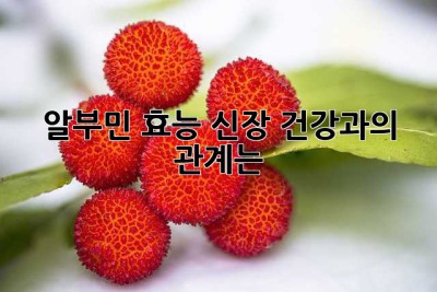 알부민 효능: 신장 건강과의 관계는?