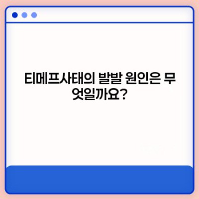 충격! 티메프사태, 진실과 논란의 중심에 서다: 핵심 정리 및 궁금증 해소