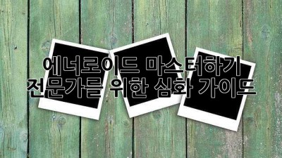 에너로이드 마스터하기: 전문가를 위한 심화 가이드