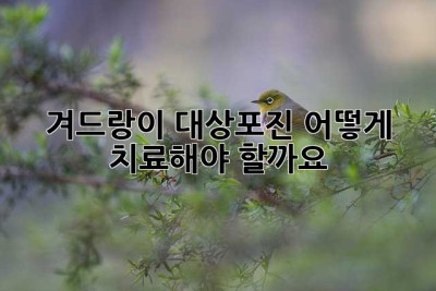 겨드랑이 대상포진, 어떻게 치료해야 할까요?