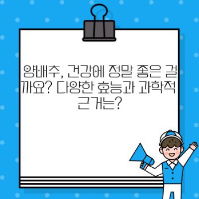 양배추효능 핵심 포인트 요약: 위장 건강부터 항암 효과까지! 장점, 단점, 먹는 법 총정리
