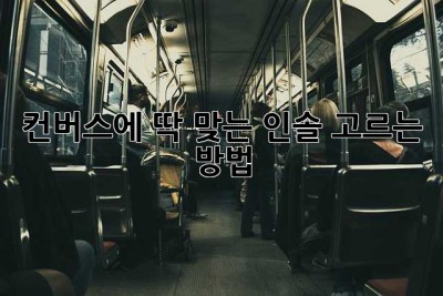 컨버스에 딱 맞는 인솔 고르는 방법!