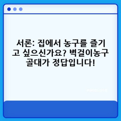 벽걸이농구골대 설치 및 선택 가이드: 집에서 즐기는 농구의 모든 것