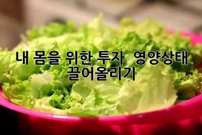 내 몸을 위한 투자 💰 영양상태 끌어올리기 ✨