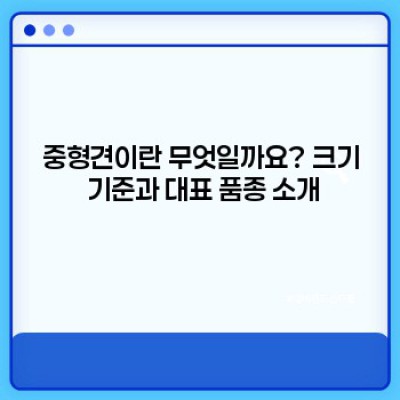 중형견 완벽 가이드: 입양 전 꼭 알아야 할 모든 것