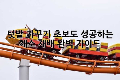 텃밭 가꾸기: 초보도 성공하는 채소 재배 완벽 가이드