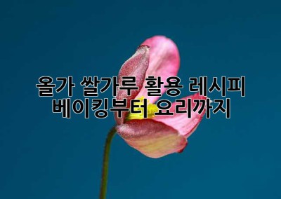 올가 쌀가루 활용 레시피: 베이킹부터 요리까지!