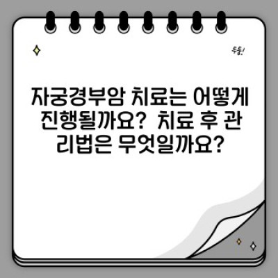자궁경부암 완벽 가이드: 예방부터 치료까지 알아야 할 모든 것