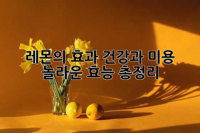 레몬의 효과: 건강과 미용, 놀라운 효능 총정리🍋