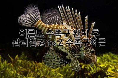 😱 어른도 수족구? 완치 후 관리법 A to Z #수족구어른